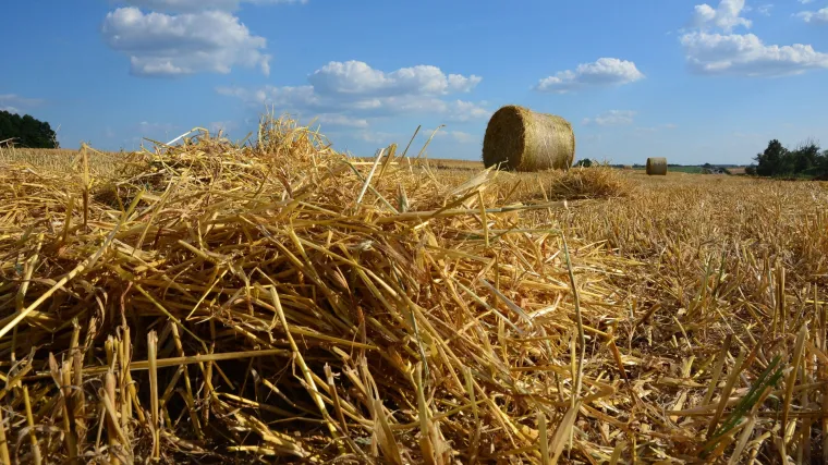 Tri slavonska sela bez ijednog slučaja korone od početka pandemije: Evo u čemu je njihova 'tajna'