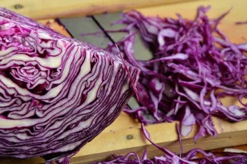 Dinstani crveni kupus - recept i priprema