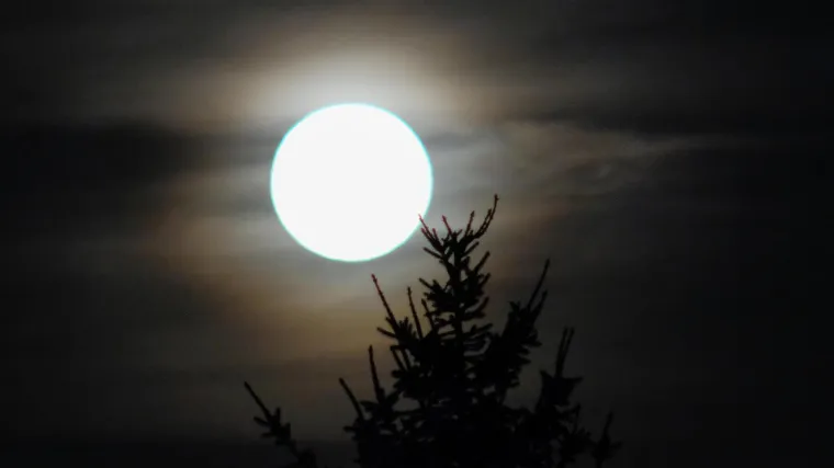 Znanstvenici prona&scaron;li maleni kamenčić s pravilnom putanjom oko Zemlje: No, tako će biti jo&scaron; 300 godina