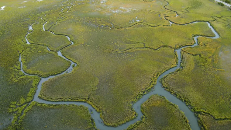 COP26: 200 zemalja dogovorilo se o trgovanju emisijama ugljika, neki ipak strahuju