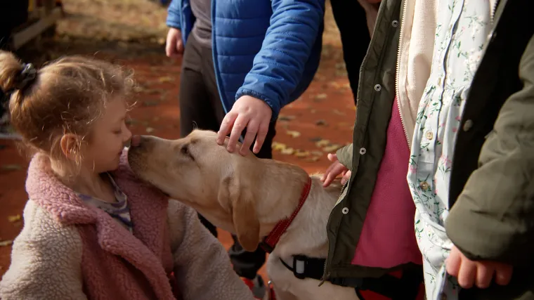 'Budi mi prijatelj': Pokažite veliko srce i omogućite da labradorica Gabi pomaže u terapiji malenim korisnicima SUVAG-a