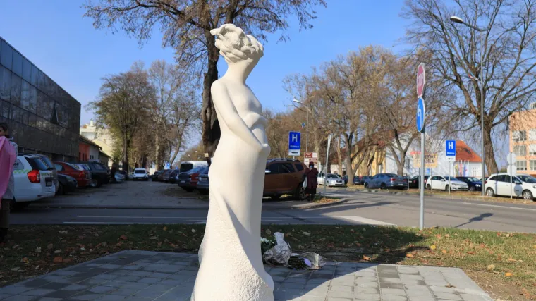 Ružica je bila u &scaron;estom mjesecu trudnoće kada je smaknuta na Ovčari: 'Pamtim je kao najdivniju osobu na svijetu'