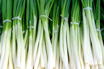 Kako pripremiti luk za zimnicu?