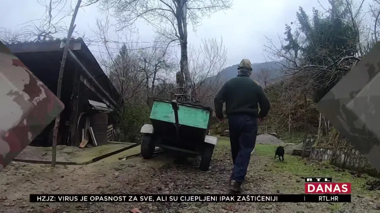 Svinje i jelenska divljač uništava uzgoje seljanima: ‘Svinje dođu preko ograde, koja je pod naponom i sve rastrgaju’