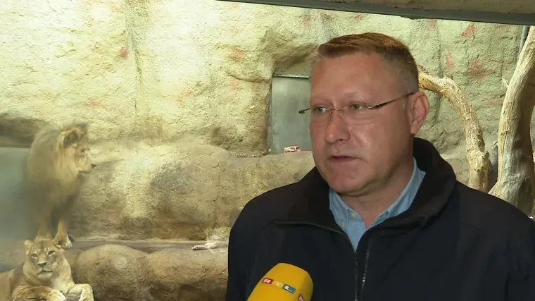 Ravnatelj ZOO-a u Zagrebu o zaraženim lavovima: 'Kad lavica nije reagirala na terapiju, a i Leo stao kihati, znali smo!'