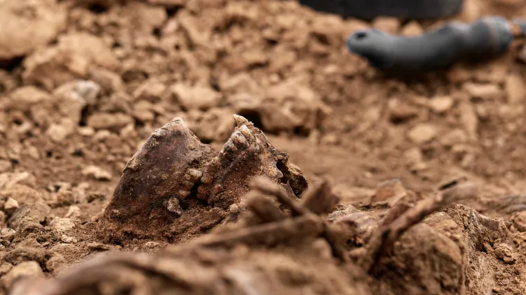 U Boboti kod Vukovara pronađeni posmrtni ostaci iz Domovinskog rata: 'Obitelji nestalih osoba bit će upoznate s nalazima'