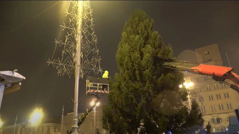 Divna priča božićnog drvca na Trgu Bana Jelačića: 'Posadila ga je moja prerano preminula baka, najviše mu se raduje djed'