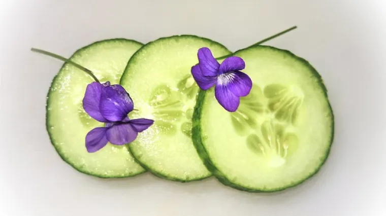 Maska od krastavaca za hidrataciju kože