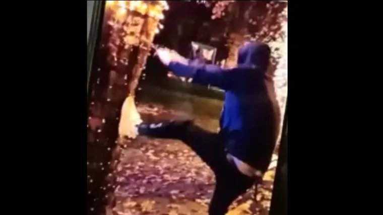 Trgao lampice u Samoboru. Direktor firme koja je ukrase postavila za RTL.hr: 'Ispričao se. I mi smo bili djeca i radili smo gluposti'