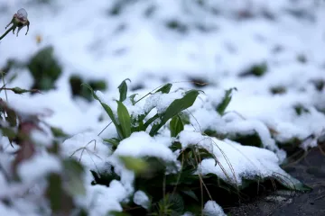 Snijeg je jutros zabijelio krovove kuća u Samoboru, bijeli se i Medvednica