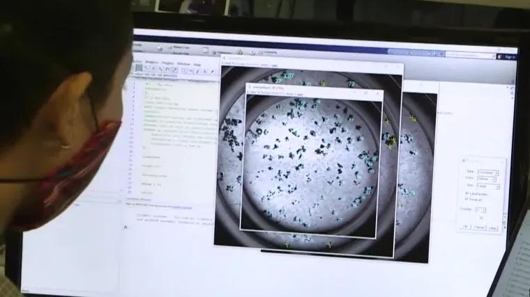 Ima li i u Hrvatskoj mutirane korone, omikrona? Utorkom RH &scaron;alje oko 500 uzoraka, ali na nalaze čekamo - tjedan i pol