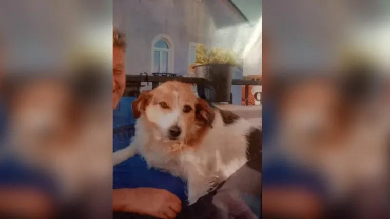 Slomio nogu u &scaron;etnji, a onda mu je čovjek koji ga je vozio u bolnicu ukrao auto i psa bacio u kontejner za smeće!