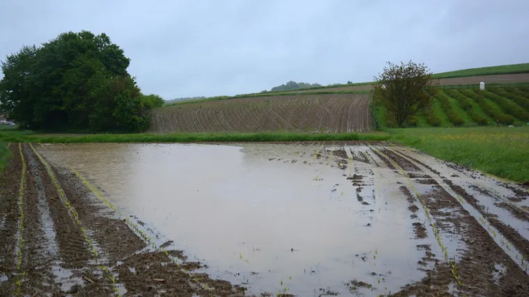 Poplavljeno vi&scaron;e objekata na jugu BiH nedaleko od granice s Hrvatskom: Najava jo&scaron; ki&scaron;e brine lokalne vlasti