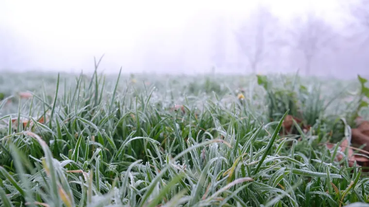 I prosinac nam donosi nestabilno vrijeme: Bit će hladno, vjetrovito uz ki&scaron;u i snijeg