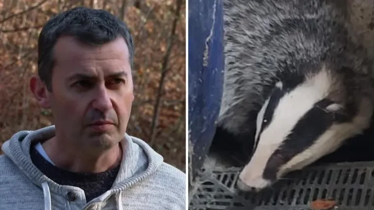 'Vidio sam da je jazavac, malo se čudno pona&scaron;ao': Danima ih posjećuje ista uporna životinja, deložirali ju, ali se ne da