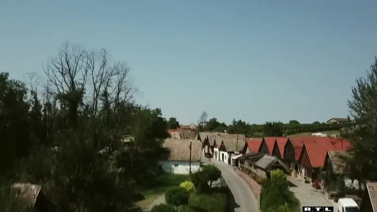 Dok jedni sele s istoka Hrvatske vani, Nijemci sele u Baranju: 'Ljudi su bolji! I vino! I ne dolazimo samo zbog COVID-a'