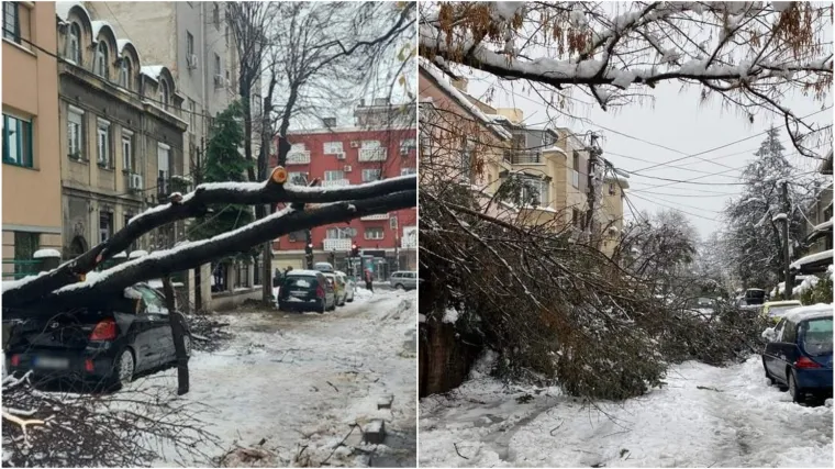 Zbog snijega tisuće ljudi ostalo bez struje, zatvorene škole: Na planini Maljen zameteno 17 osoba