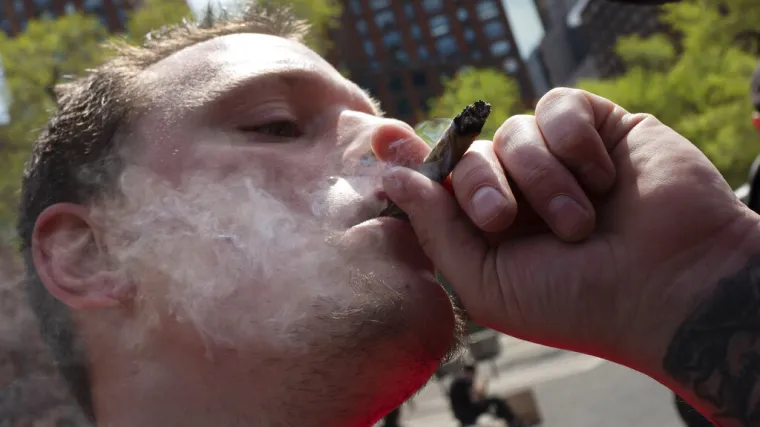 Marihuanu se u koroni pu&scaron;i vi&scaron;e nego ikad, u Nizozemskoj se traži i 'za van', u Hrvatskoj joj je cijena odavno porasla