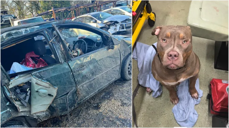 'Smrskao nas je i onda pobjegao. Mislio je da smo mrtvi...': Djevojka i &scaron;tene preživjeli stravičnu nesreću