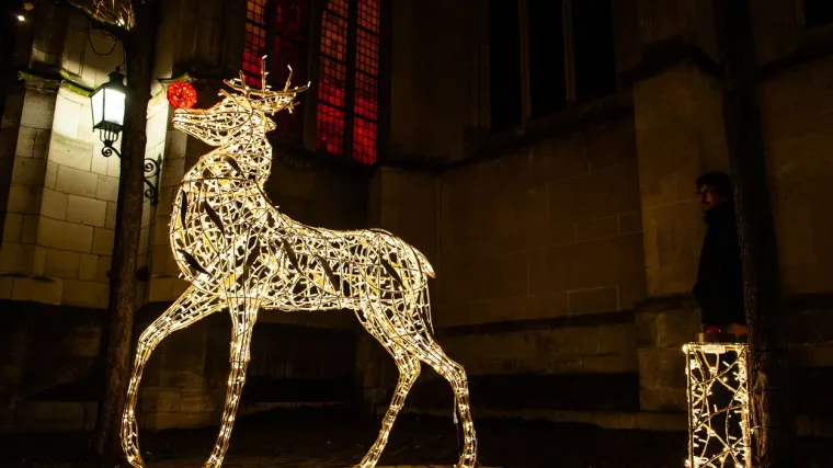 Pogledajte kako su gradovi ukrašeni za blagdane: Od elegancije do 'prst u oko' kiča