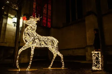 Pogledajte kako su gradovi ukrašeni za blagdane: Od elegancije do 'prst u oko' kiča