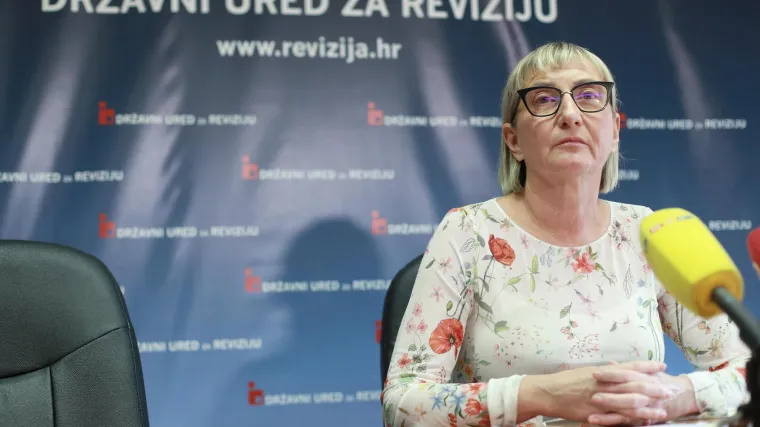 Revizija utvrdila niz nepravilnosti u poslovanju Domovinskog pokreta