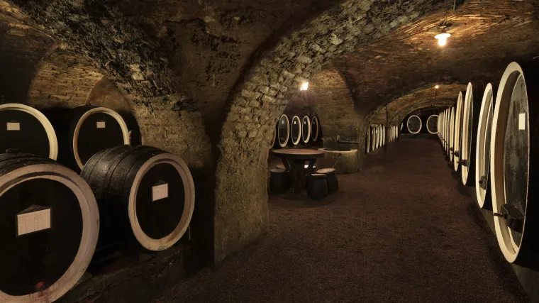 Bogata web blagdanska akcija vinarije Kutjevo