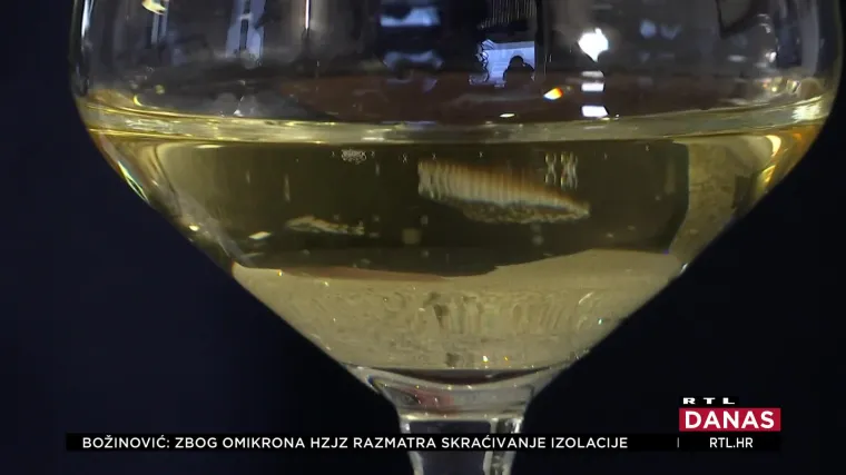 Na korak do Nove godine Drago Kurtalj, koji proizvodi pjenušce ne spava: Telefon stalno zvoni, ne znam gdje mi je glava!