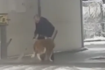 Kuhar snimljen kako miniwashem na snijegu pere sirotog psa: 'Šta vas briga, pimp*** sam mu prao!'