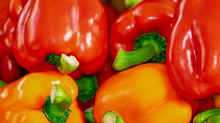 Recept za ukiseljene pečene paprike