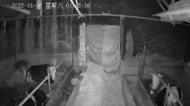 VIDEO: Kinu je noćas uzdrmao snažan potres, stanovnici Xininga osjetili jako podrhtavanje