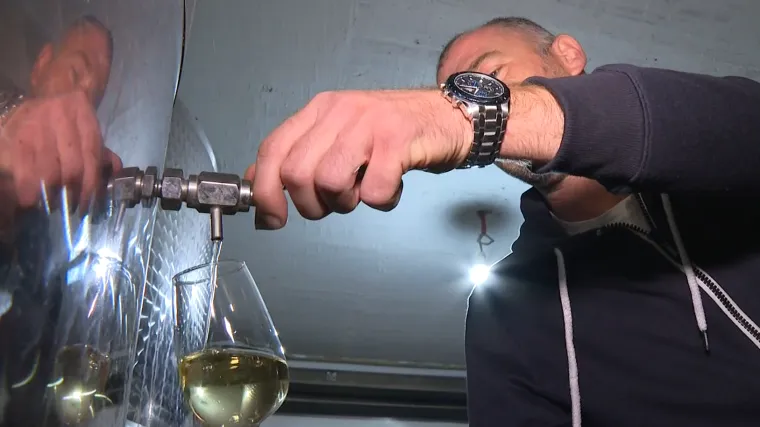 Vina s juga Hrvatske osvajaju medalje i svijet: 'Autohtona specifična sorta jo&scaron; iz Dubrovačke Republike'