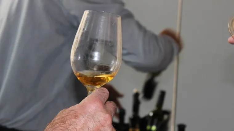 VELIKI USPJESI KONAVOSKIH VINA Crvik: Krenuo je izvoz lani u Ameriku, ove godine u &Scaron;vicarsku