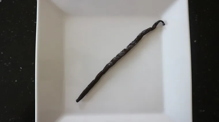 Kako koristiti &scaron;tapić vanilije?