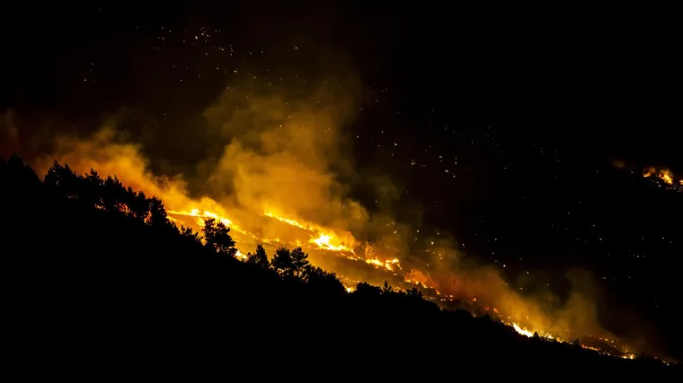 Požar u Lokvi Rogoznici: Vatra je prijetila kućama, ali vatrogasci su je uspjeli zaustaviti
