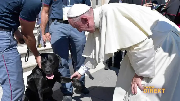 Papa izjavom o psima i mačkama naljutio svijet. Svećenik, psihijatar i veterinar za Direkt: Ne osuđujmo vlasnike ljubimaca