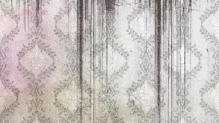 &Scaron;to je plijesan? Kako nastaje plijesan u kući?