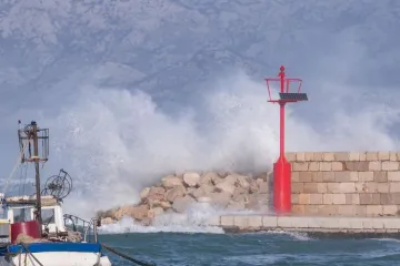 U Ražancu će brendirati buru