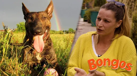 'Opasne pasmine ne postoje, a naši psi traže drogu u američkoj DEA-i'