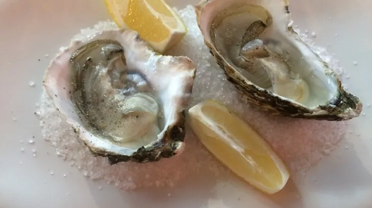 Kako pravilno otvoriti &scaron;koljku bez o&scaron;tećenja