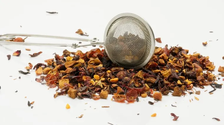 Crni sljez - upotreba i karakteristike