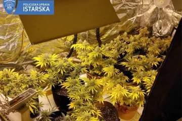 Pritvoren 36-godišnjak: U stanu je imao 'laboratorij za indoor uzgoj indijske konoplje'