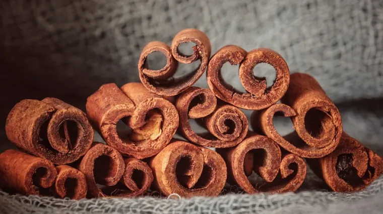 &Scaron;to je i kako se koristi cejlonski cimet?