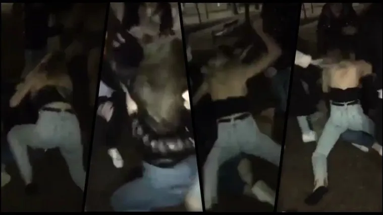 Djevojke se tukle u parku: Stotinjak ljudi gledalo i snimalo, a samo jedna cura ih razdvojila