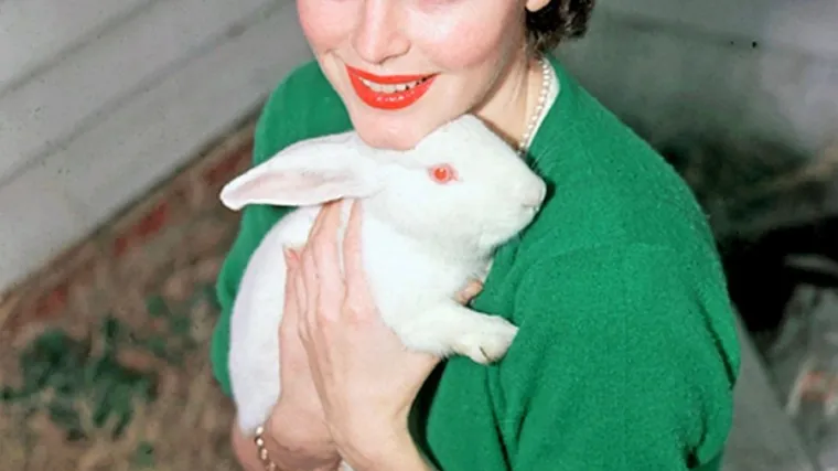 Mračne tajne najerotičnije glumice u povijesti Hollywooda: Zbog alkohola postala nimfomanka koja je dvaput pobacila