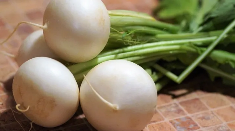 Salata od bijele rotkve - recept i priprema