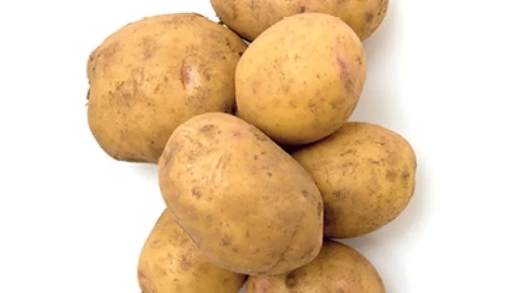 Krumpir u vatrostalnoj posudi - recept i priprema