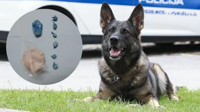 Zatvorenici ne odustaju! U Splitu opet poku&scaron;ali prokrijumčariti drogu. Policijski pas nanju&scaron;io kokain i sve ih zeznuo