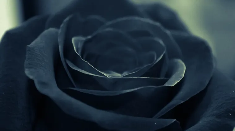 Crna boja - boja  snage, sigurnosti i moći