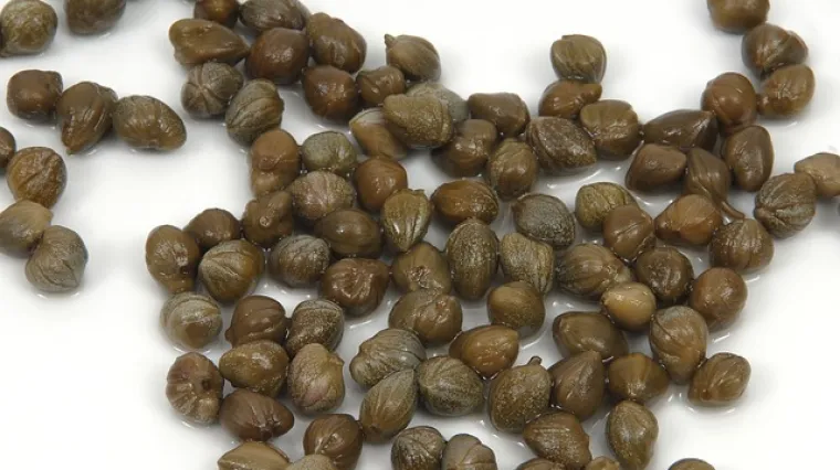 Umak od kapara - recept i priprema